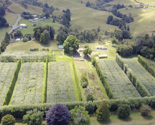 Waihi College 3