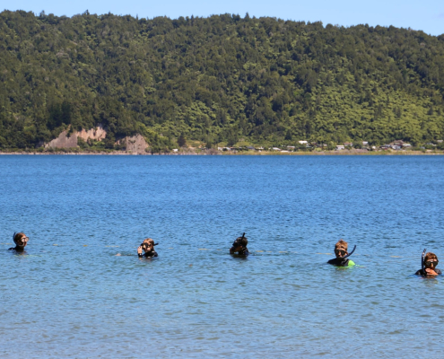 Fünf Trident High School Schüler beim Schnorcheln im Meer
