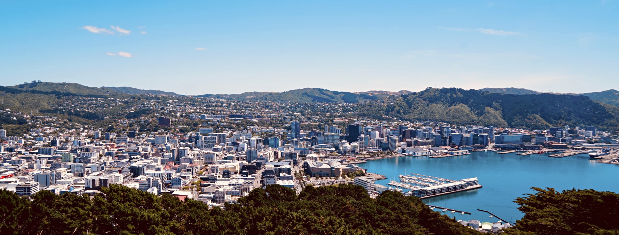 Wellington